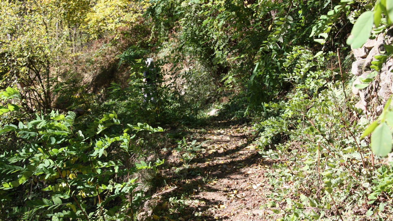 Photo of Outdoor in Illier-et-Laramade