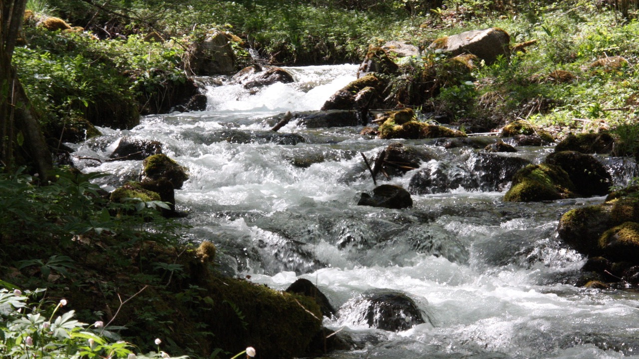 Photo of Outdoor in Illier-et-Laramade