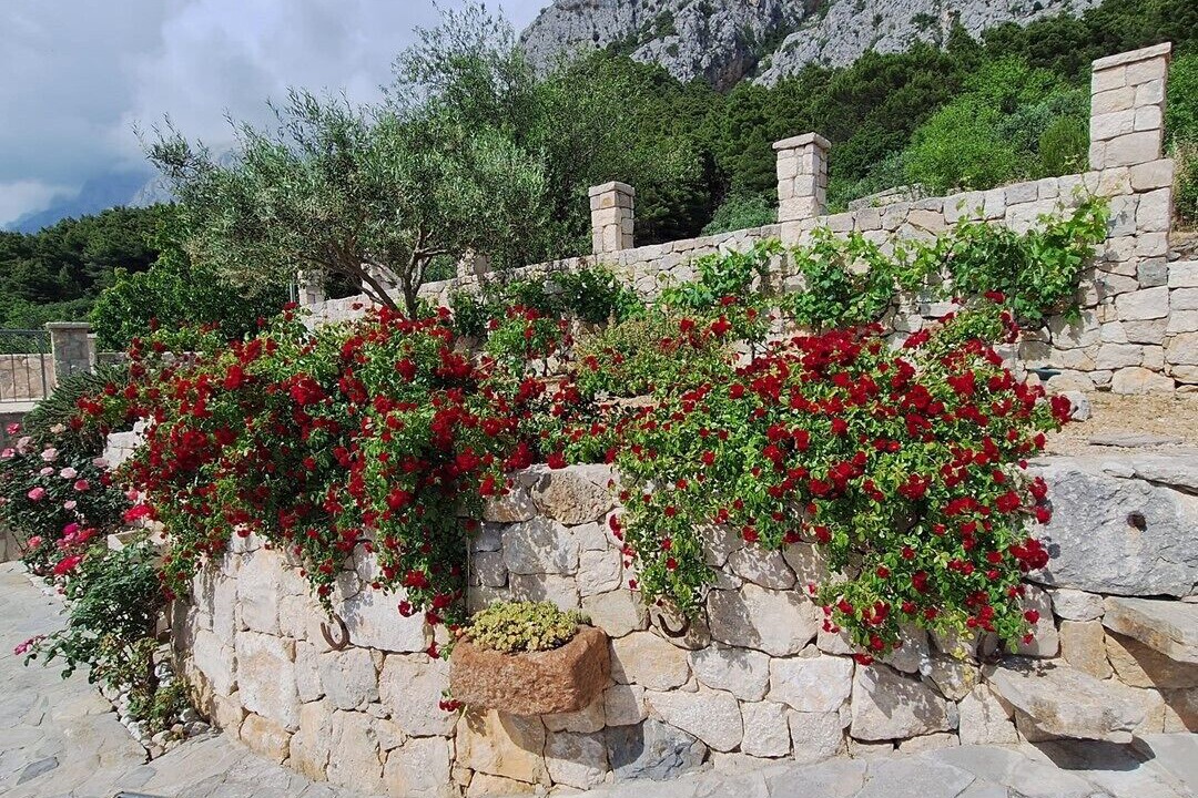 Photo of Outdoor in Makarska