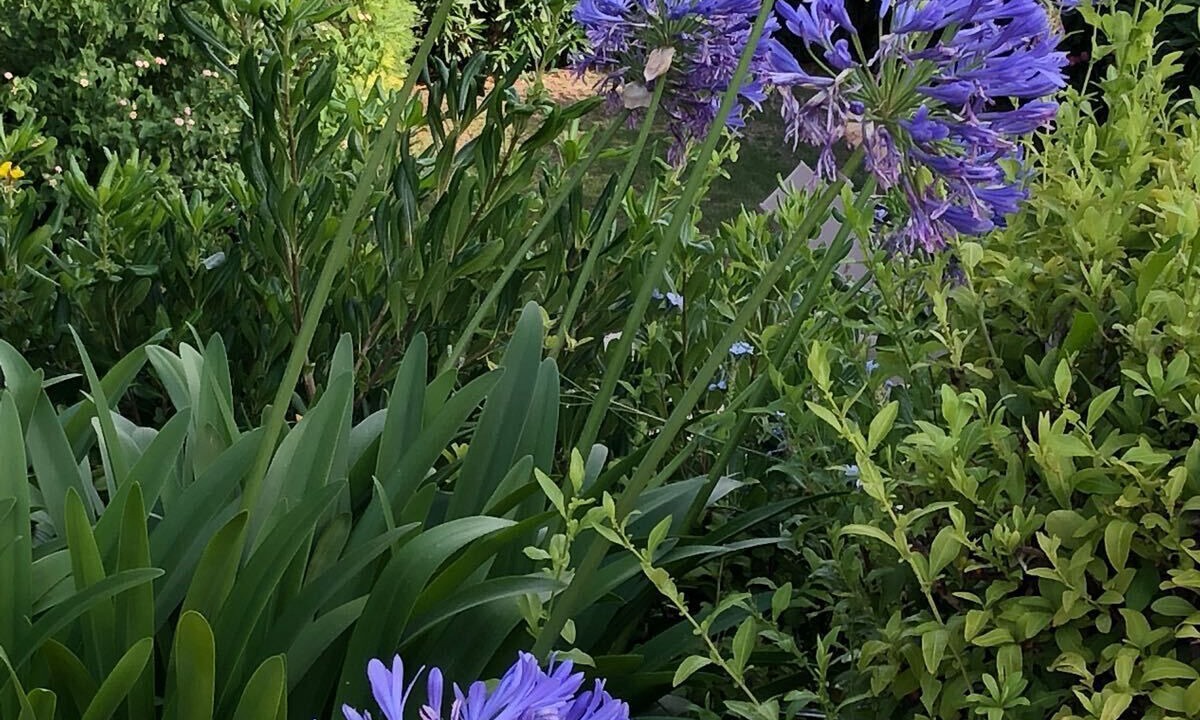 Photo of Outdoor in La Croix-Valmer