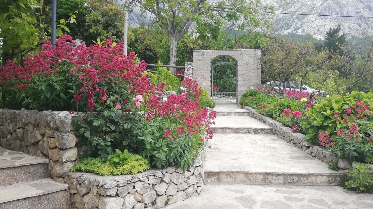 Photo of Outdoor in Bast