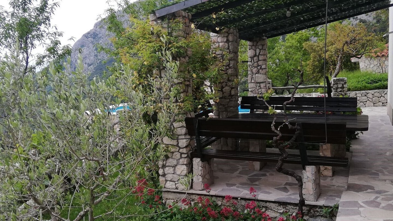 Photo of Outdoor in Bast