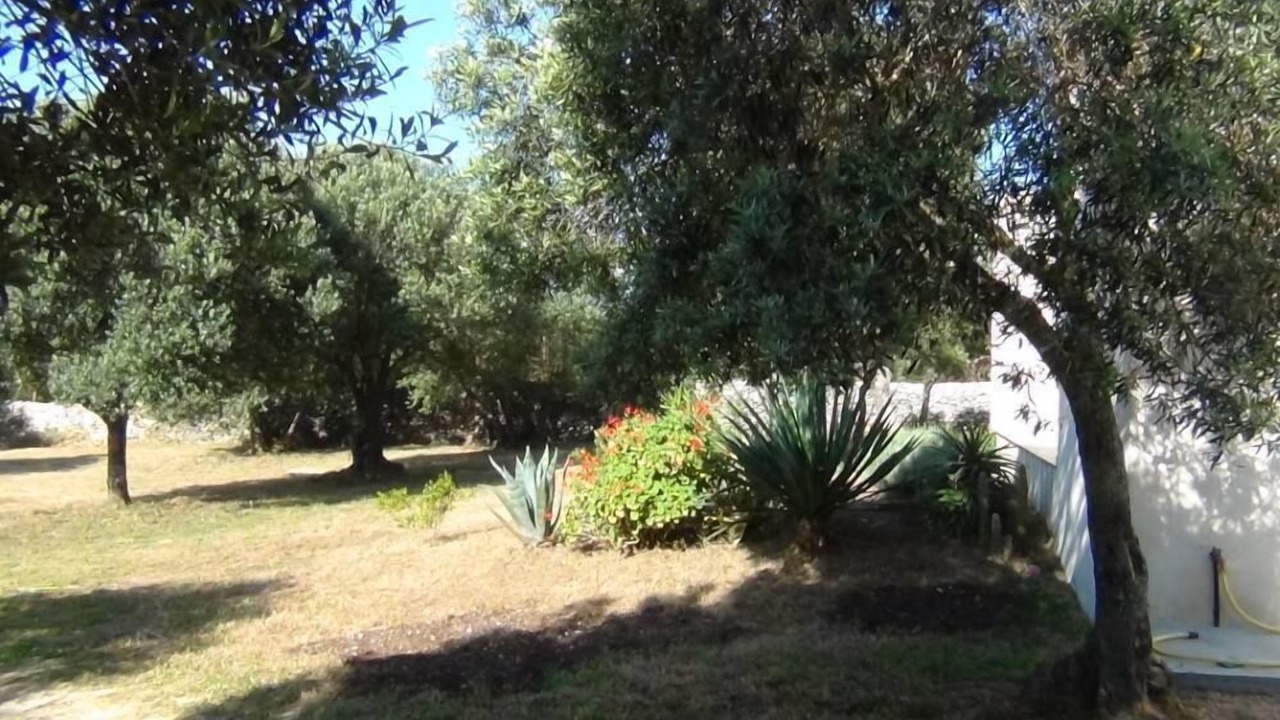 Photo of Outdoor in Bonifacio