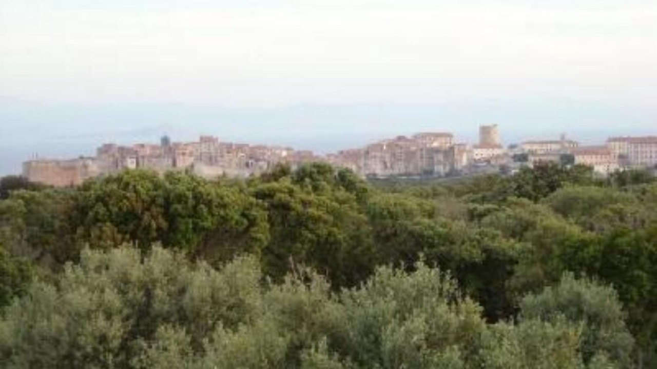 Photo of Others in Bonifacio