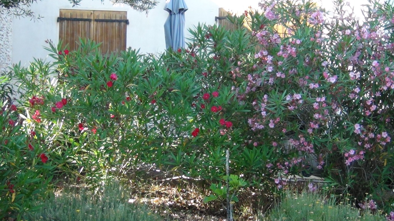 Photo of Outdoor in Bonifacio