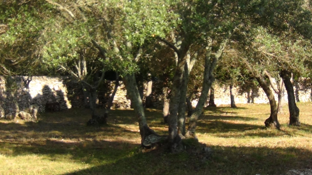 Photo of Outdoor in Bonifacio