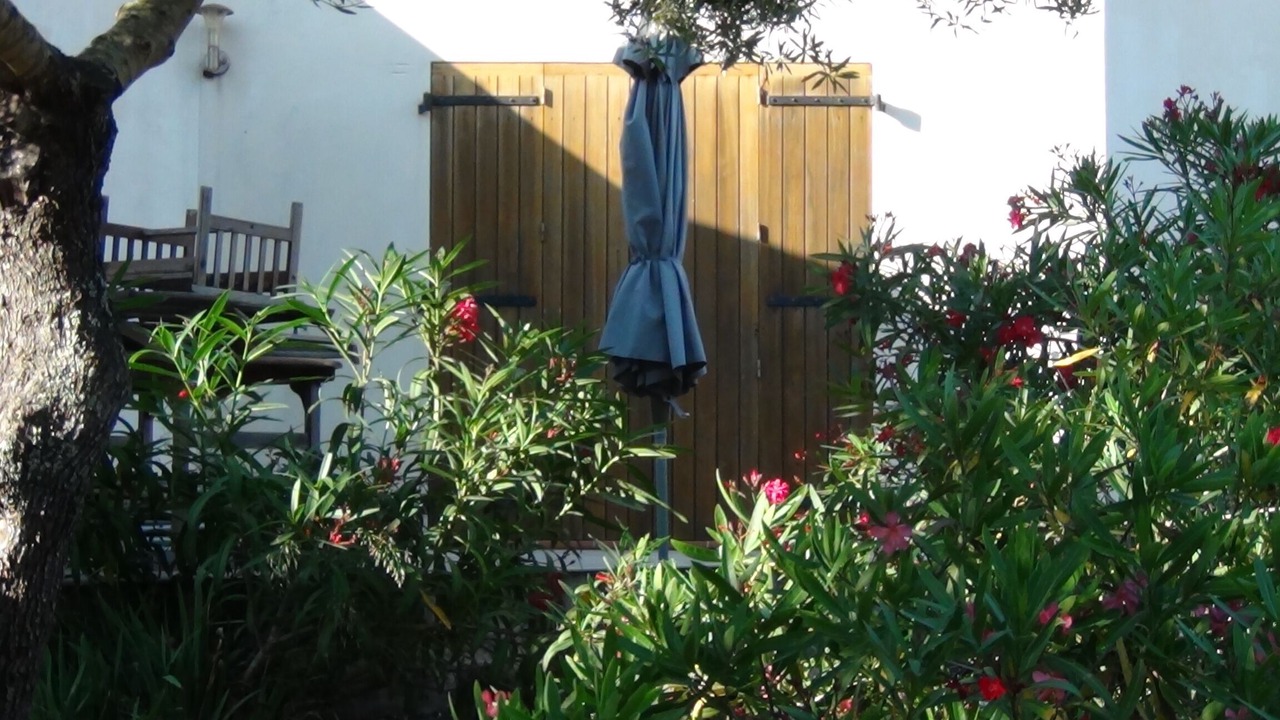 Photo of Outdoor in Bonifacio