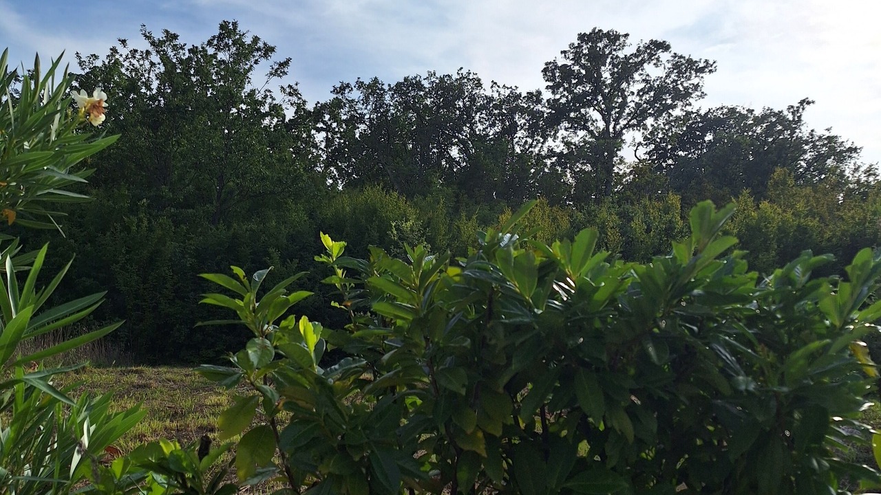 Photo of Outdoor in Vantacici