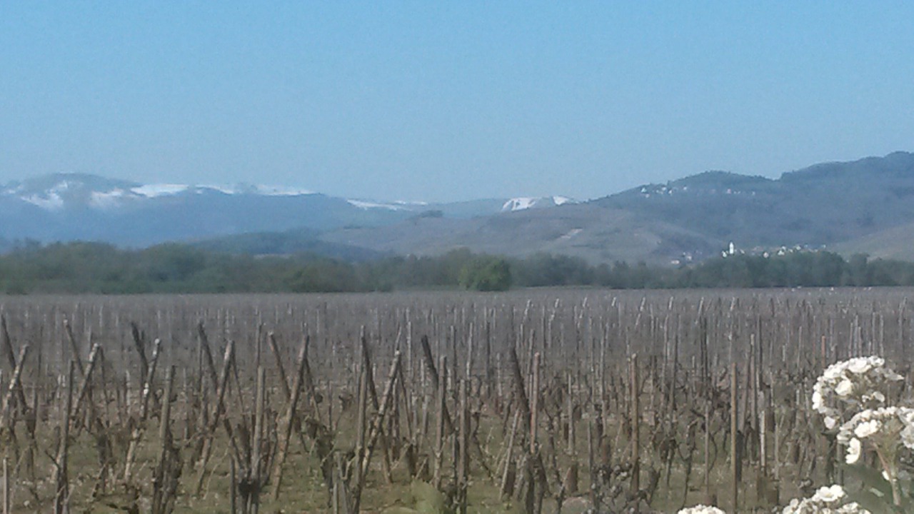 Photo of Others in Lapoutroie