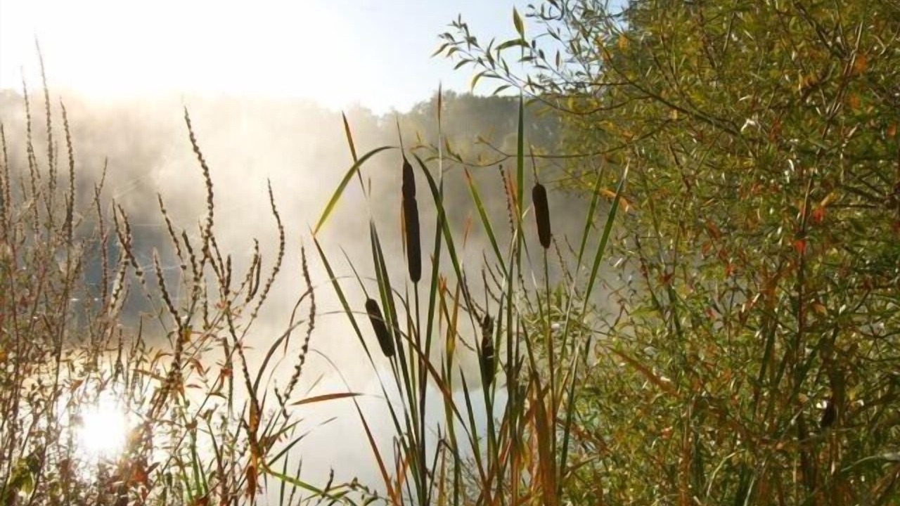 Photo of Outdoor in Saint-Leonard