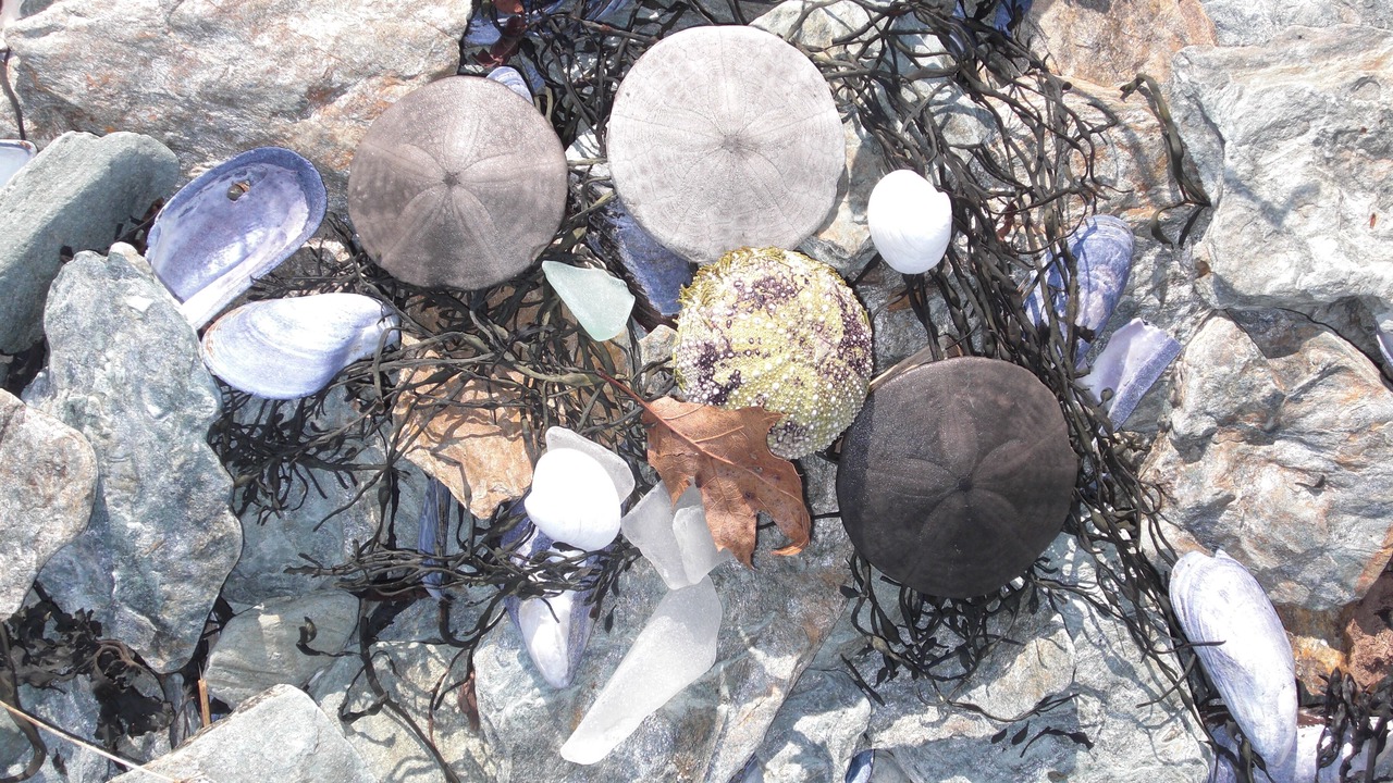 Photo of Others in Hancock Point