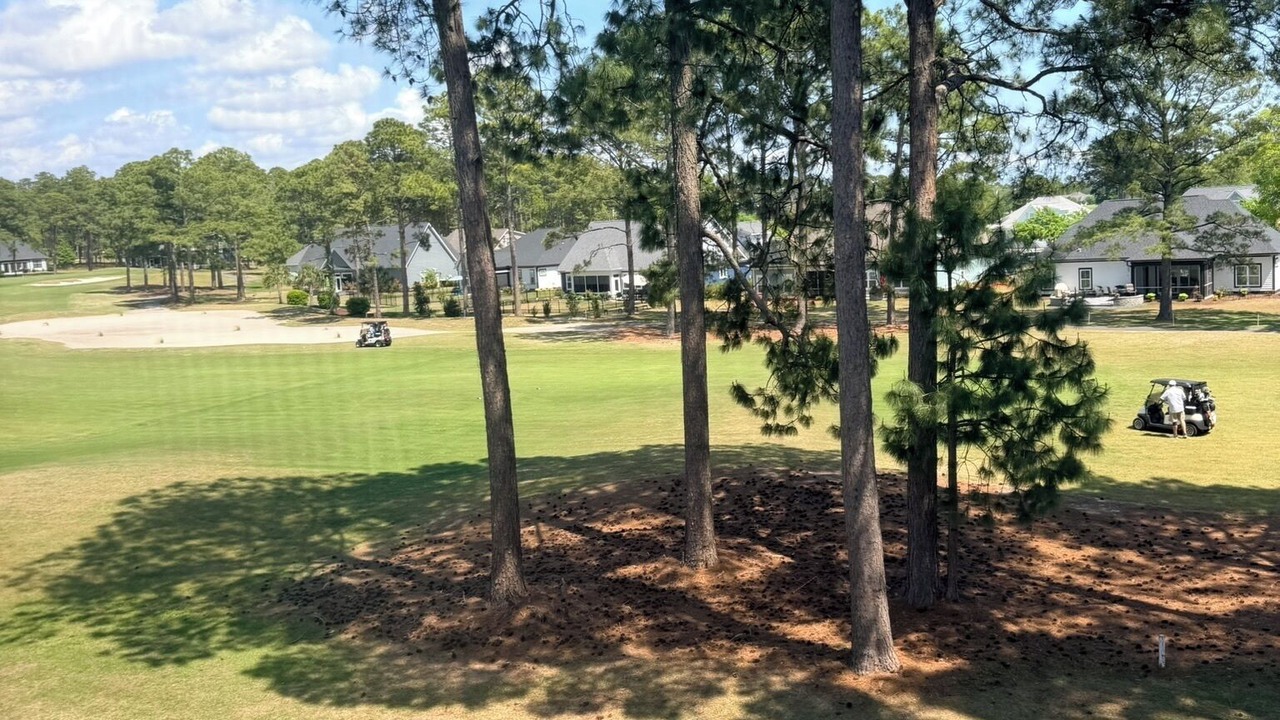Photo of Outdoor in Sea Trail