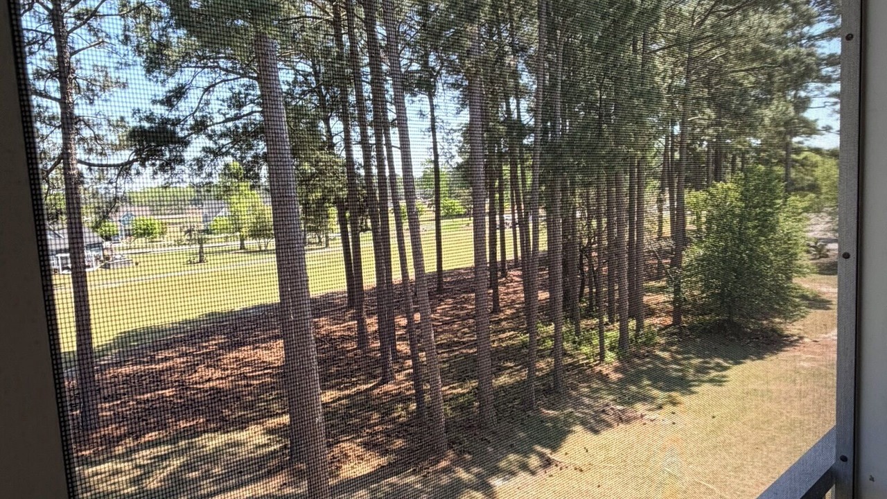 Photo of Outdoor in Sea Trail