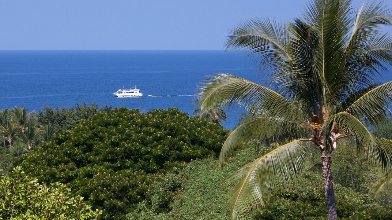Photo of Others in Keauhou