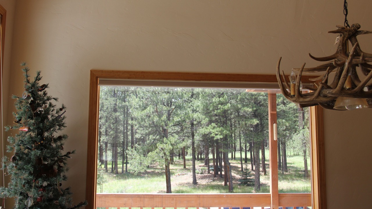 Photo of Others in Angel Fire