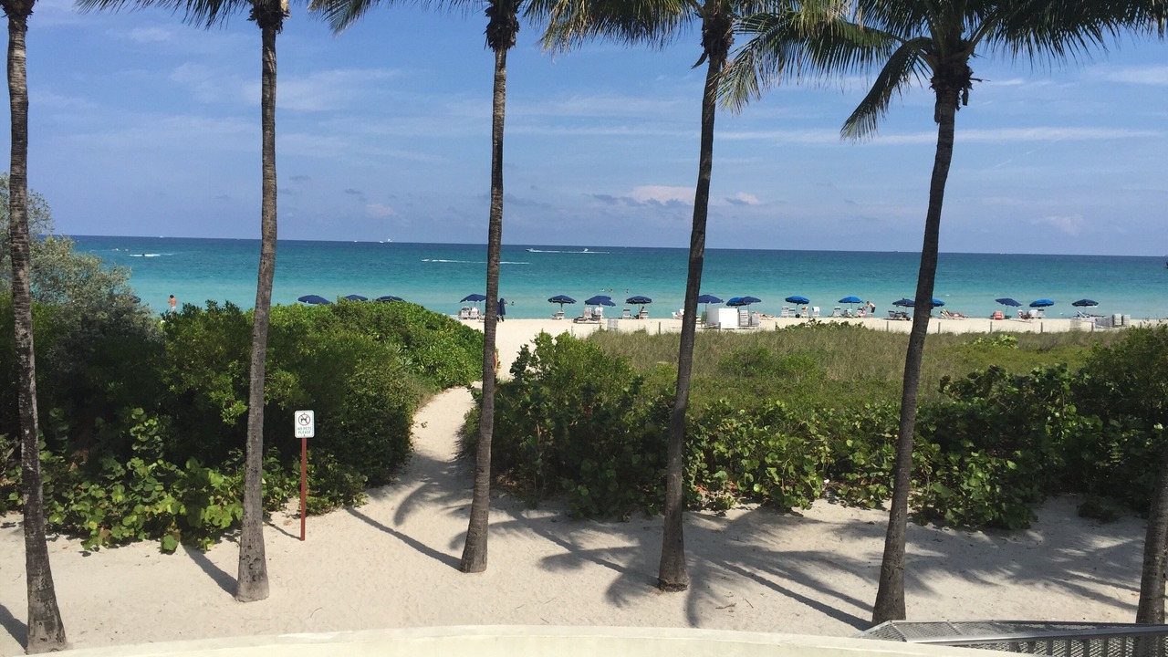 Photo of Others in Mid Beach