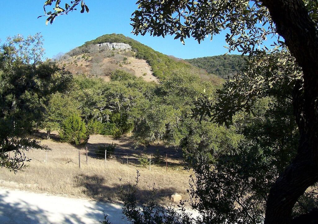 Photo of Others in Leakey