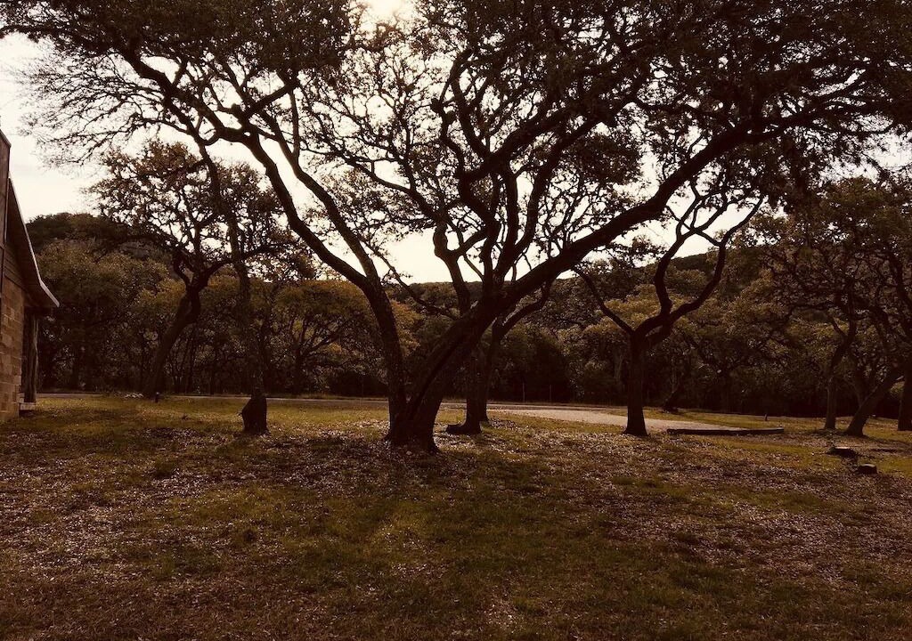 Photo of Others in Leakey