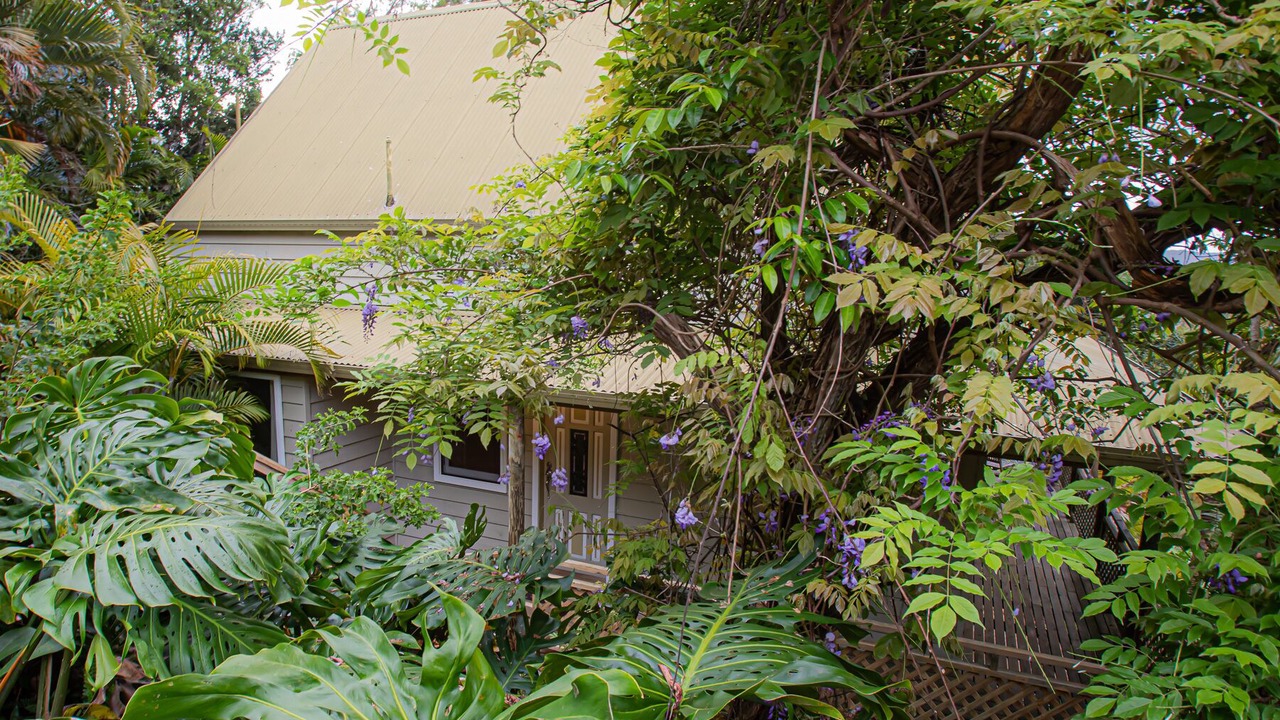 Photo of Outdoor in Crescent Head