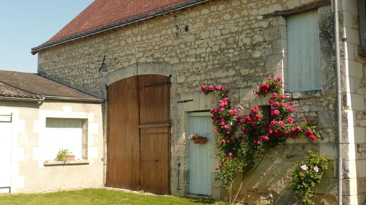 Photo of Outdoor in Cussay