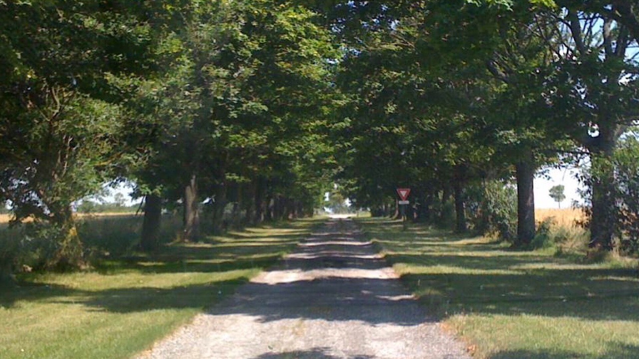 Photo of Outdoor in Ricaud