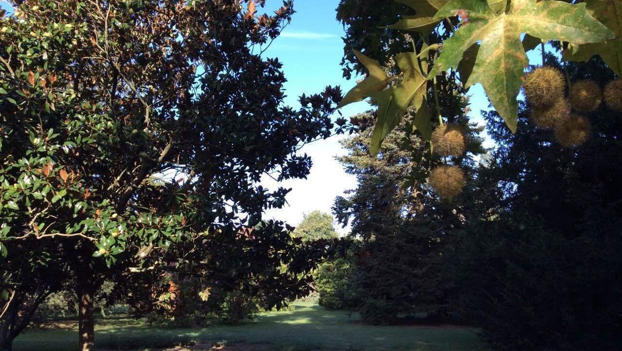 Photo of Outdoor in Ricaud