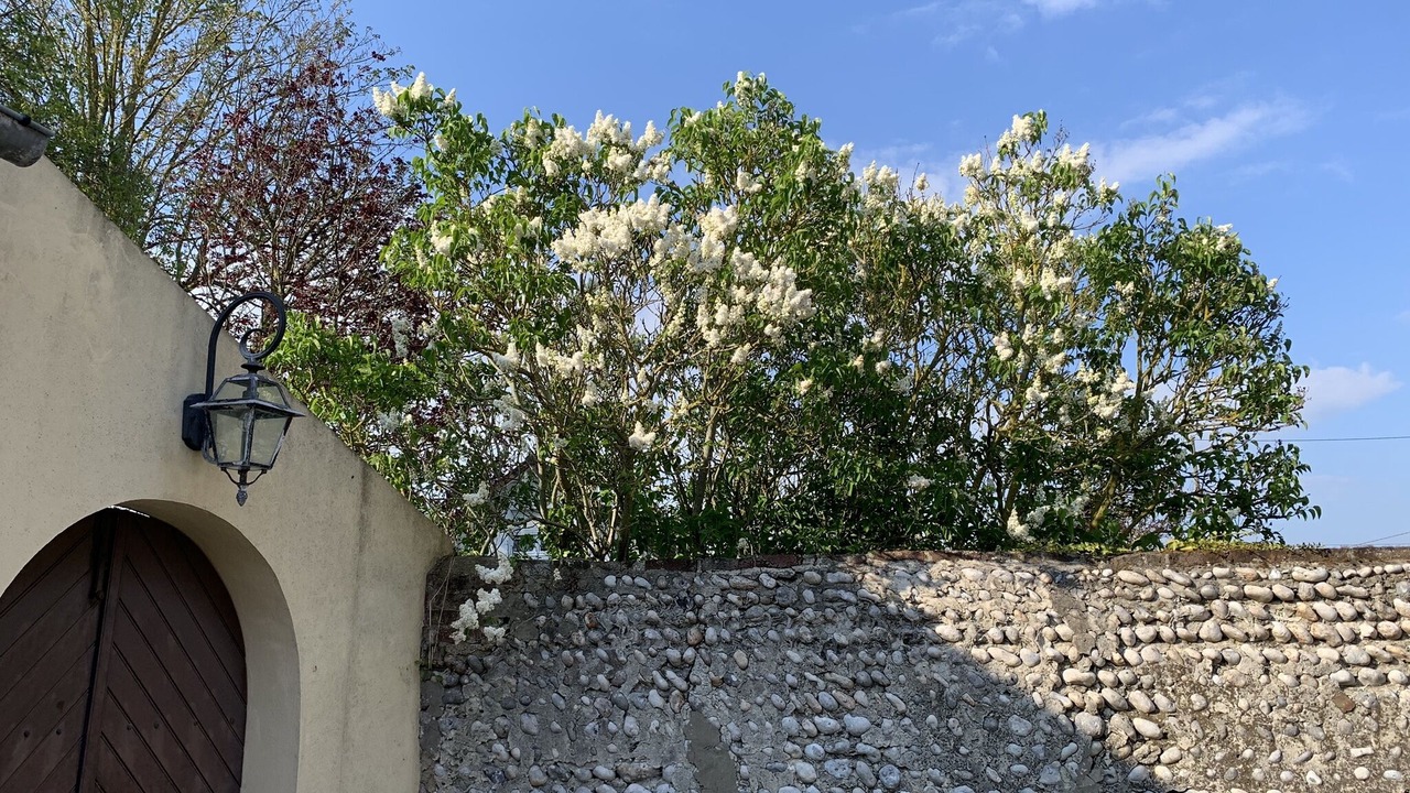 Photo of Outdoor in Cayeux-sur-Mer