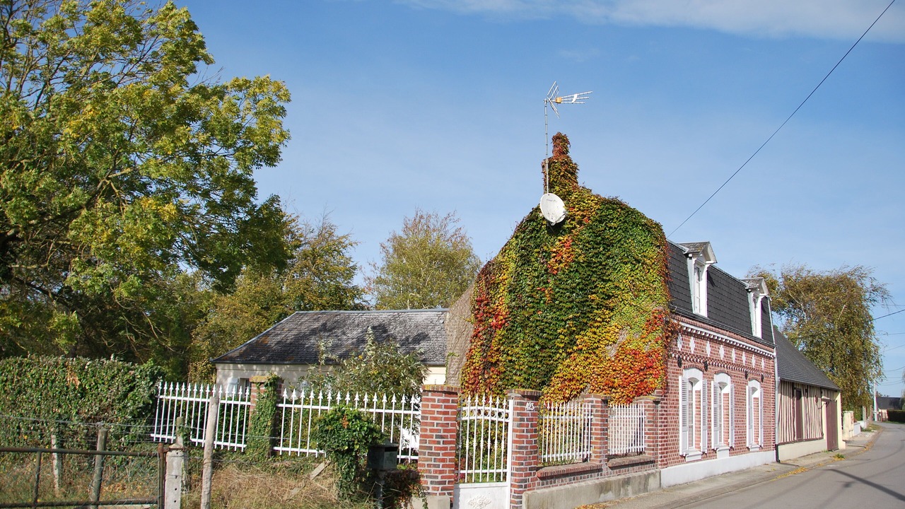 Photo of Outdoor in Cayeux-sur-Mer