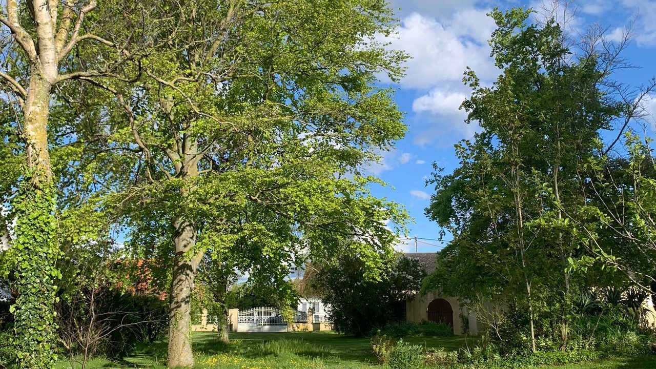 Photo of Outdoor in Cayeux-sur-Mer