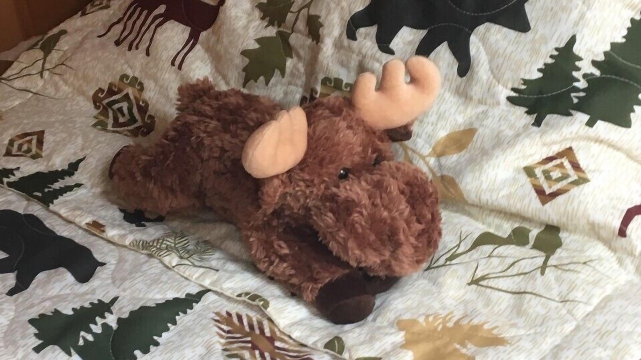 Photo of Others in Franklin