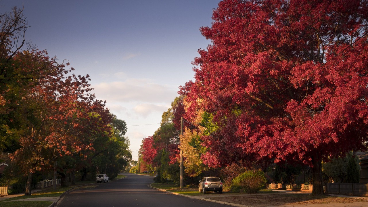 Photo of Outdoor in Beechworth