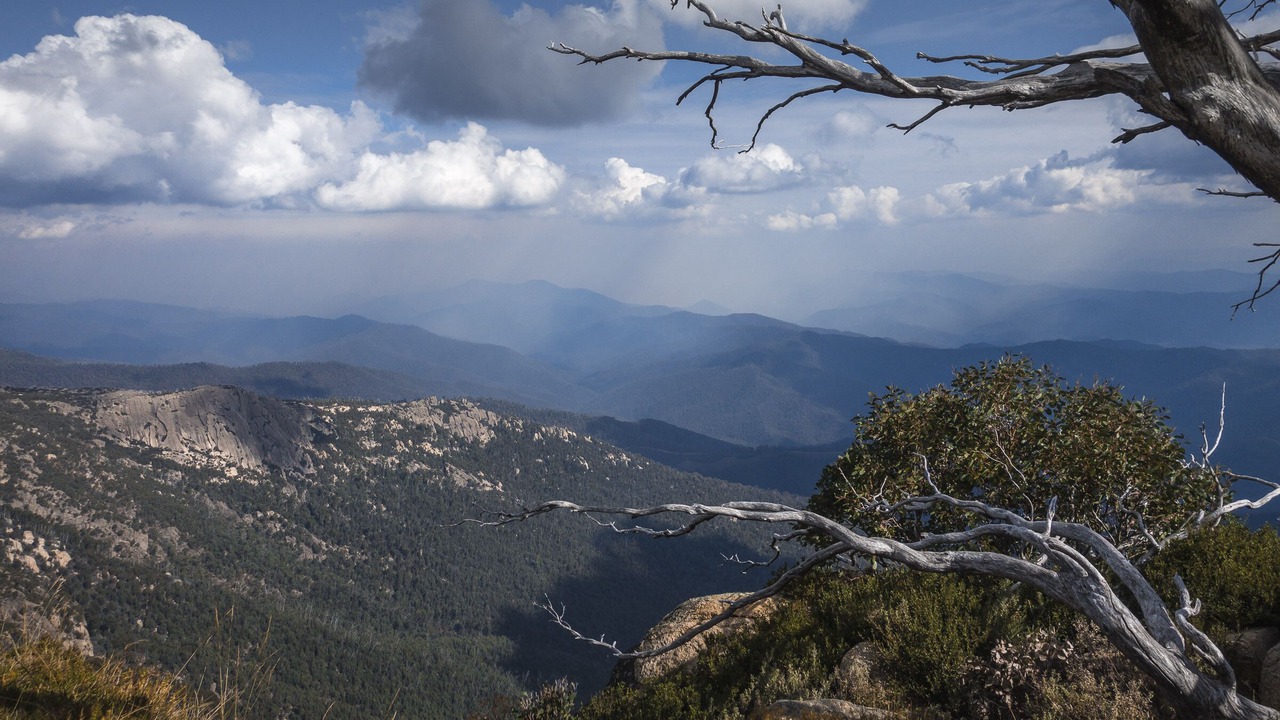 Photo of Others in Beechworth