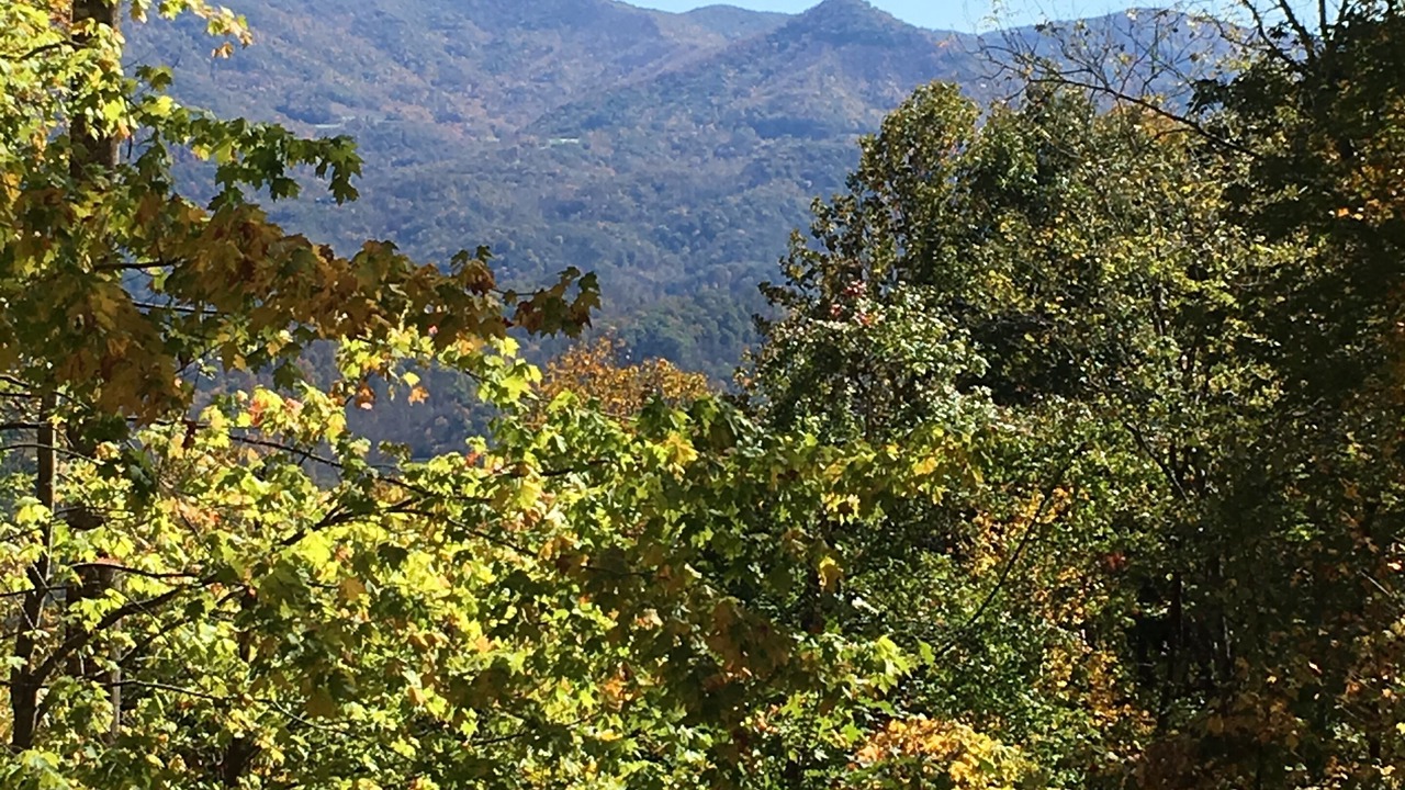 Photo of Outdoor in Sylva