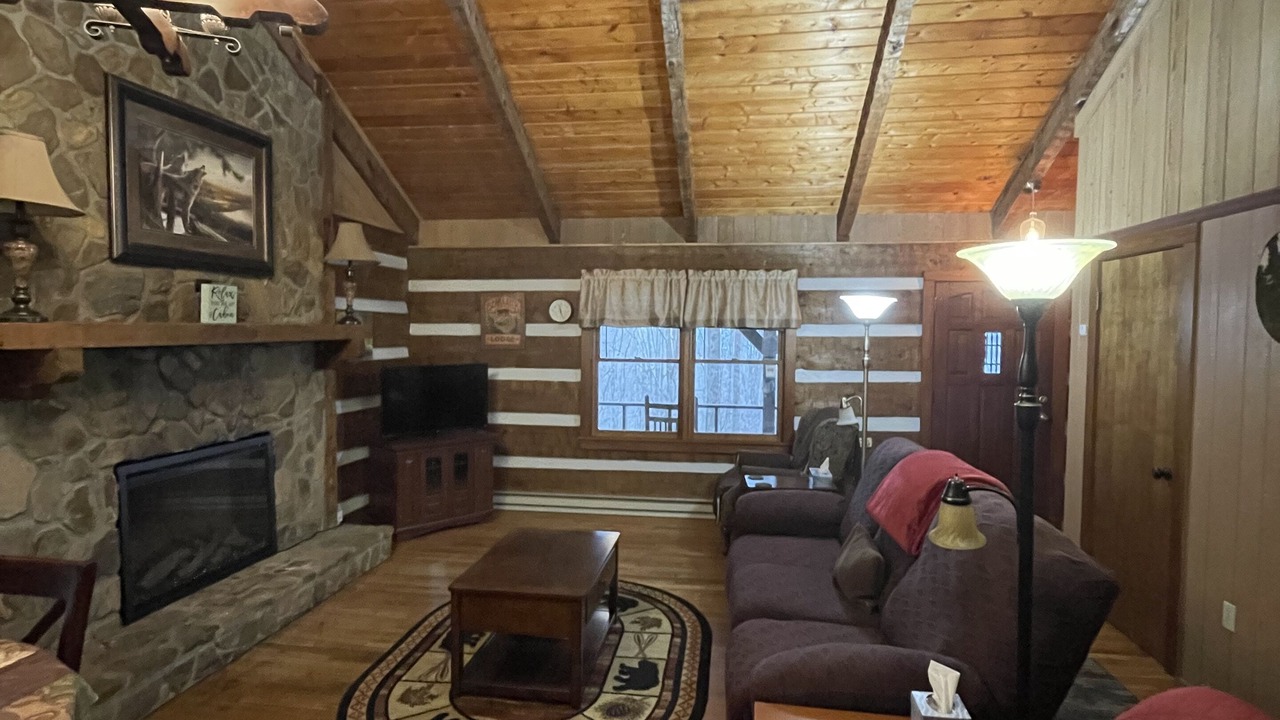 Photo of Livingroom in Sylva