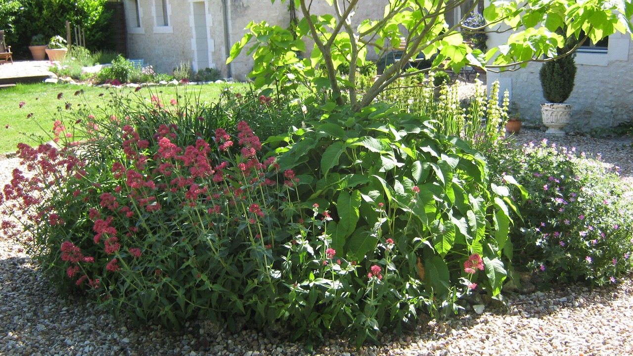 Photo of Outdoor in Clere-du-Bois