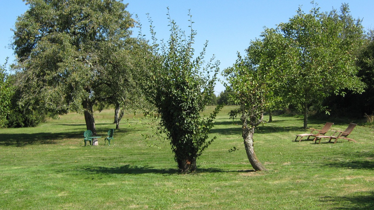 Photo of Outdoor in Clere-du-Bois