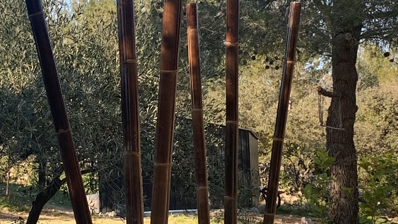 Photo of Outdoor in Les 3 Ponts