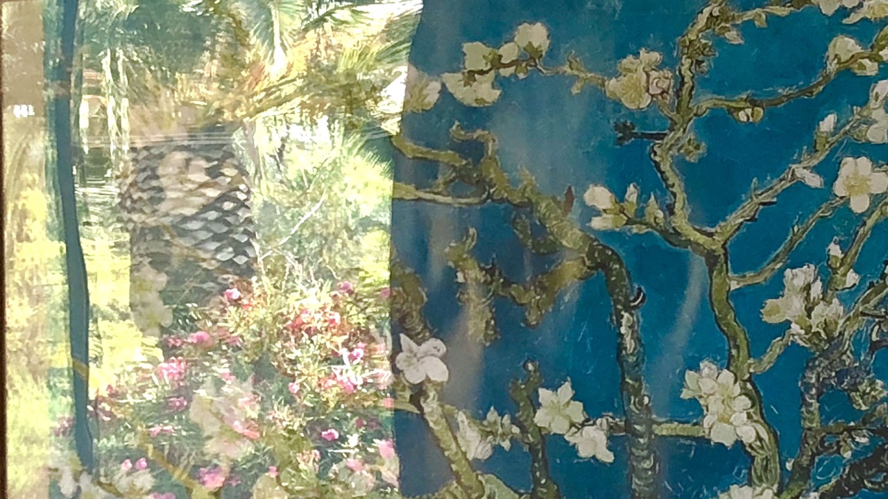 Photo of Outdoor in Tarragona