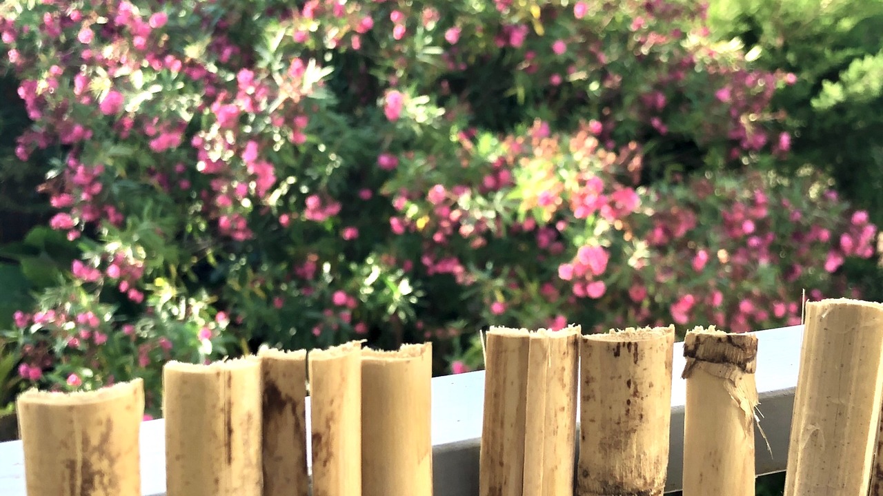 Photo of Outdoor in Tarragona