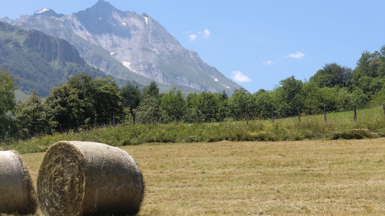 Photo of Outdoor in Arrens-Marsous