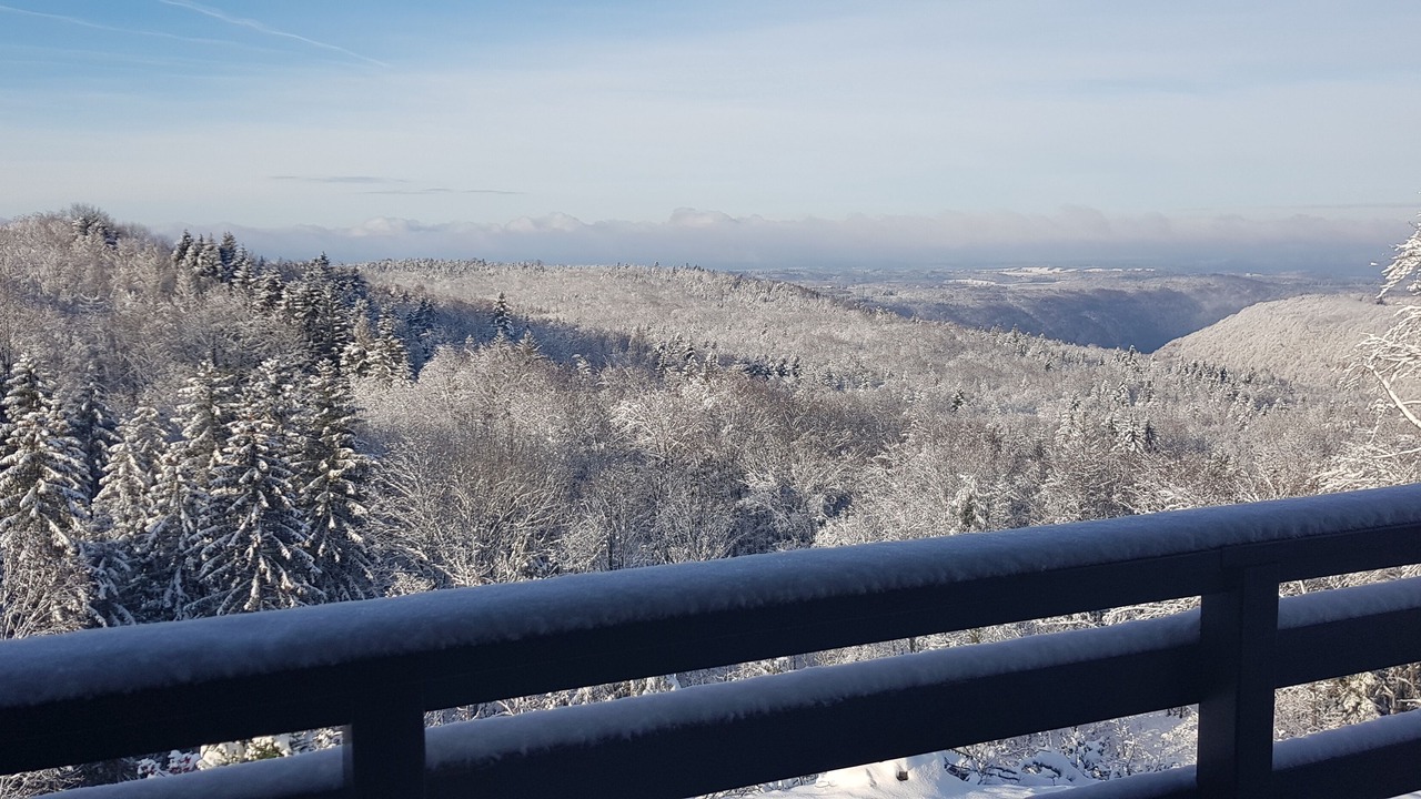 Photo of Outdoor in Bonlieu