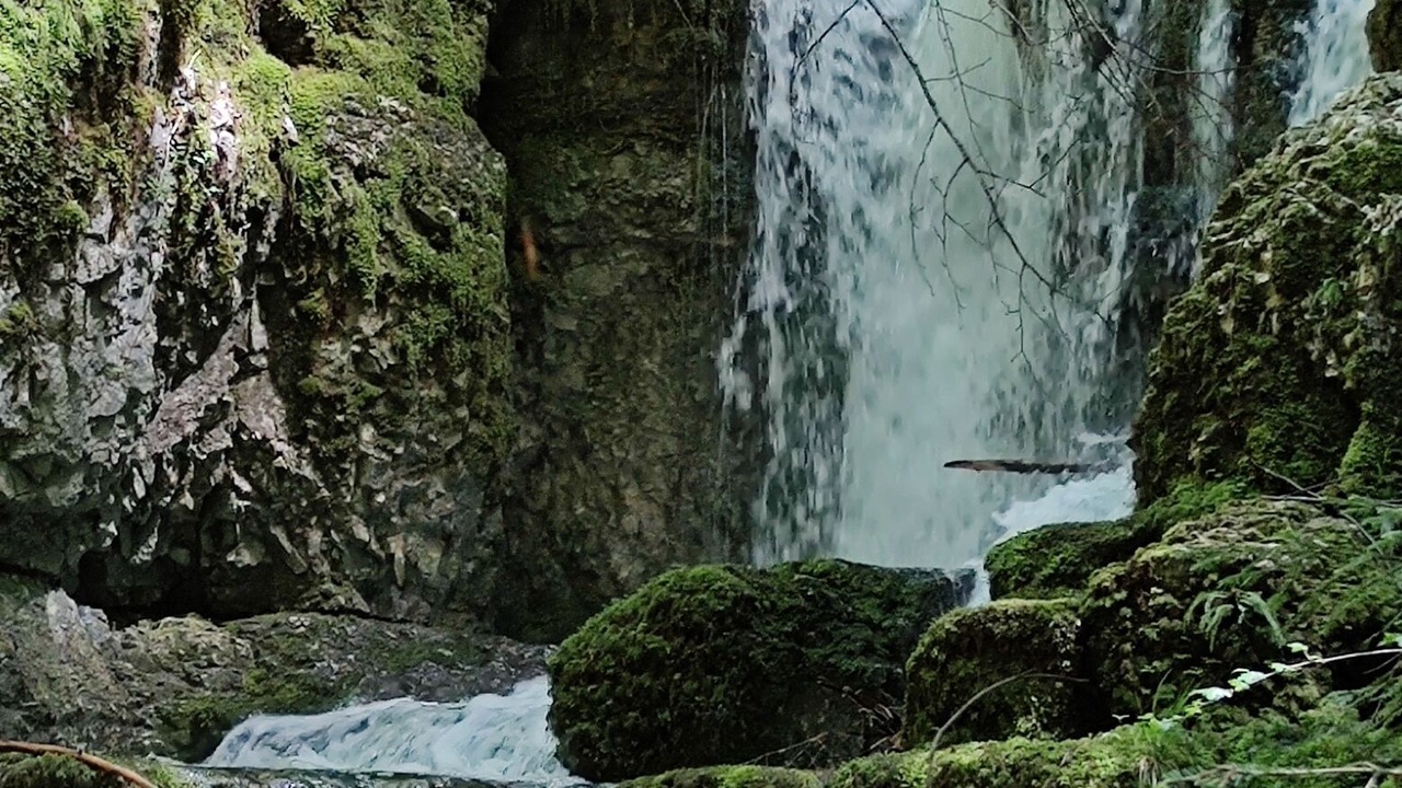 Photo of Outdoor in Bonlieu