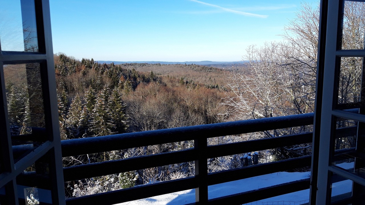 Photo of Others in Bonlieu