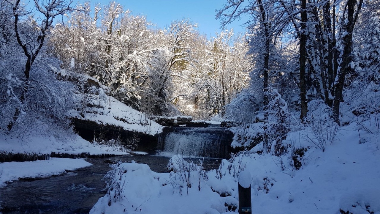 Photo of Others in Bonlieu