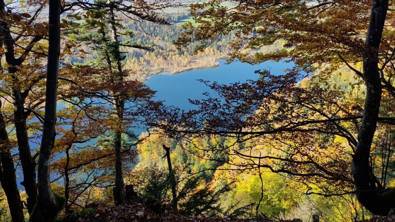 Photo of Outdoor in Bonlieu