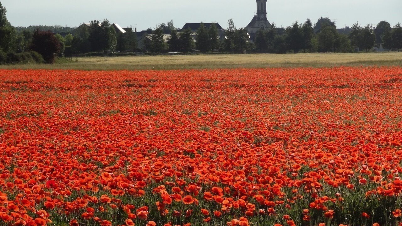 Photo of Outdoor in Avoine