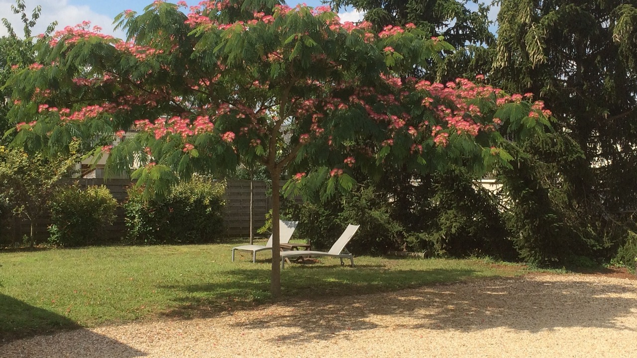 Photo of Outdoor in Avoine