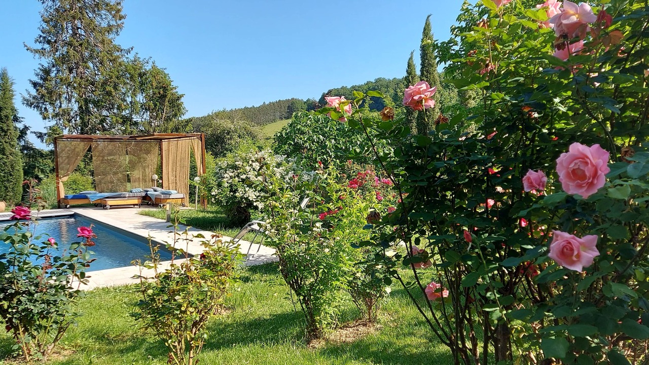 Photo of Outdoor in Chardonnay