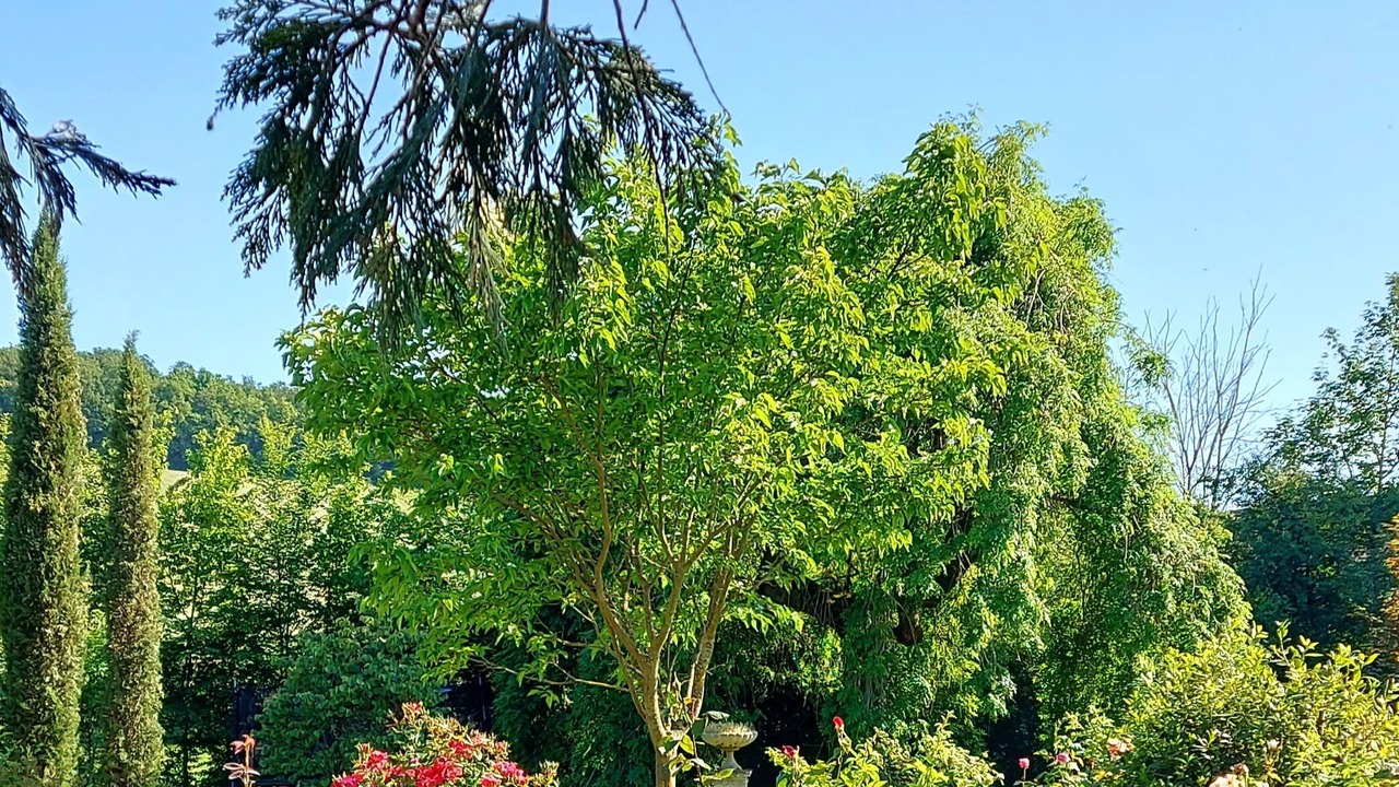 Photo of Outdoor in Chardonnay