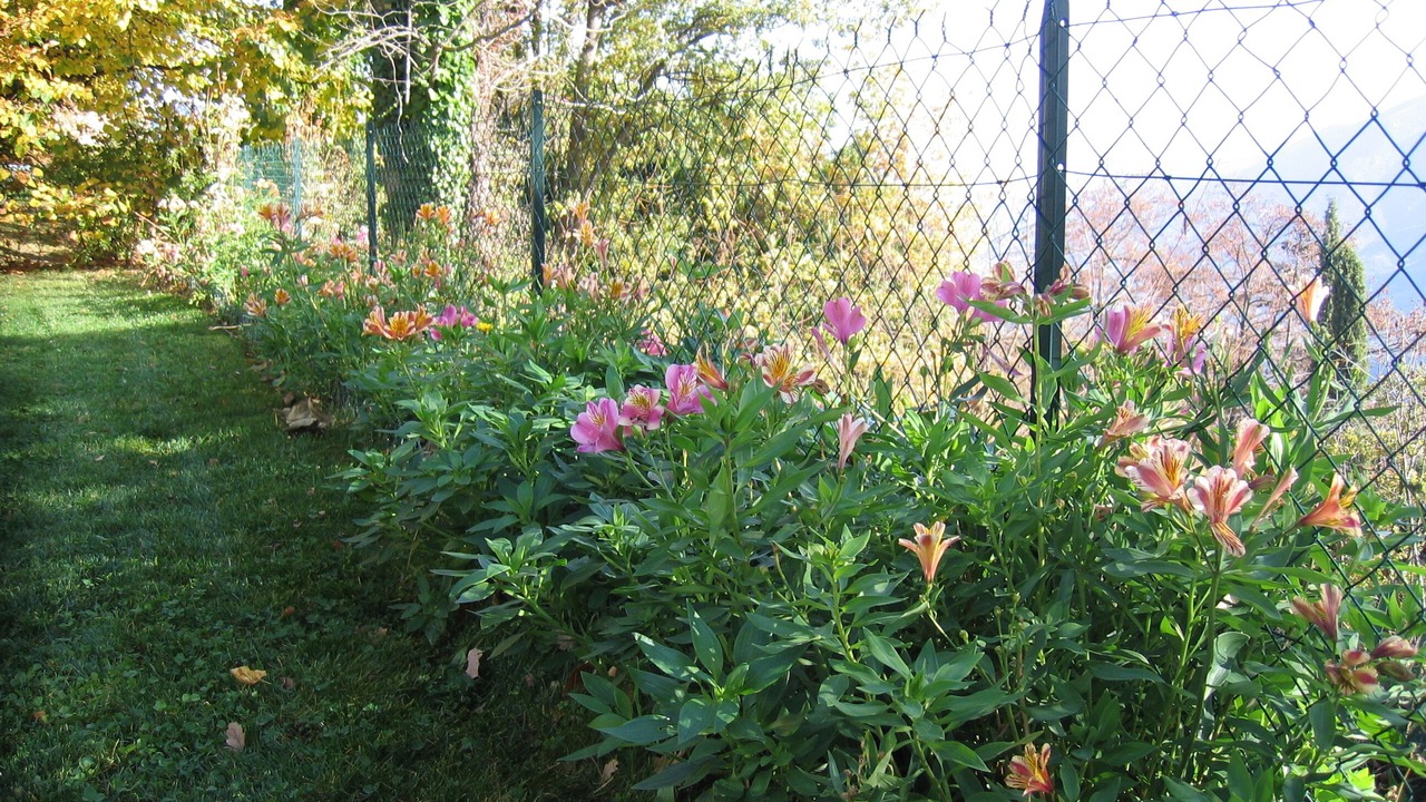 Photo of Outdoor in Montferrer